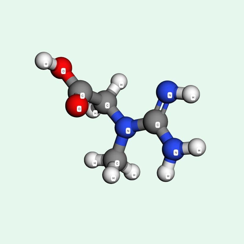 Creatine là hợp chất dinh dưỡng tự nhiên