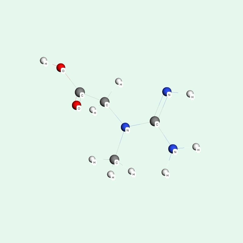 Khoảng 95% lượng creatine trong cơ thể tập trung ở cơ xương, phần còn lại nằm ở não, tim và tinh hoàn.