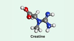 Creatine là hoạt chất gì? Tác dụng và cách dùng