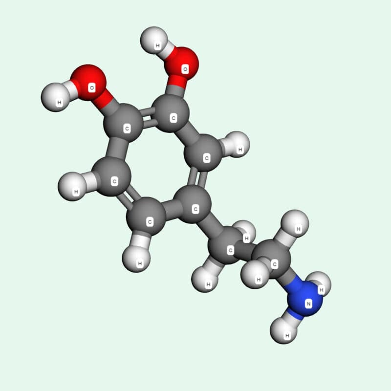dopamine là một hoạt chất toàn diện, ảnh hưởng đến gần như mọi khía cạnh của sức khỏe