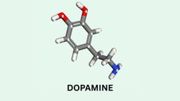 Dopamine là hoạt chất gì, có vai trò gì với con người?