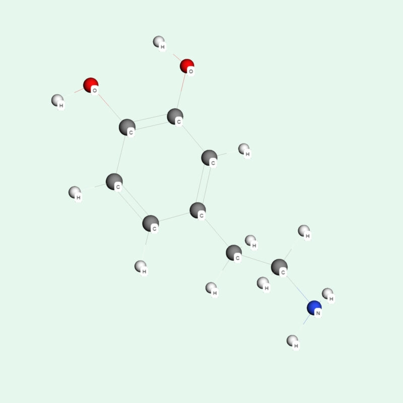 Dopamine là một hợp chất hữu cơ được tổng hợp từ axit amin tyrosine