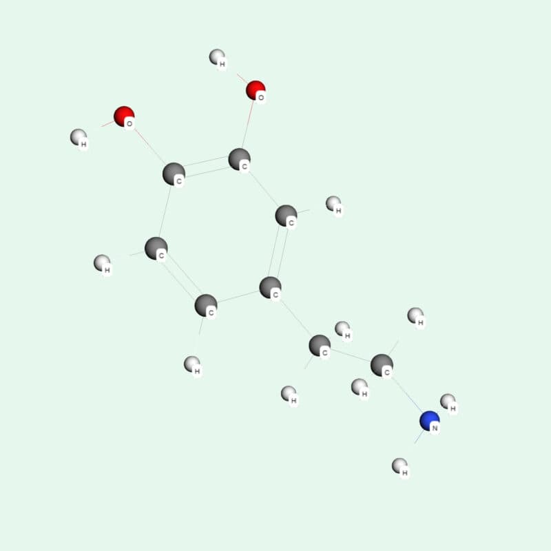 Dopamine là một hợp chất hữu cơ được tổng hợp từ axit amin tyrosine