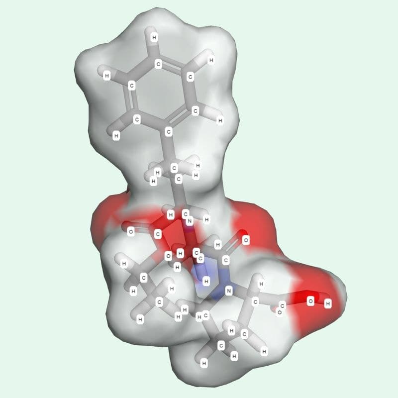 Enalapril thuộc nhóm ức chế enzym chuyển angiotensin (ACE). Đây là một hợp chất được chuyển hóa trong cơ thể thành dạng hoạt động – enalaprilat – để phát huy tác dụng.