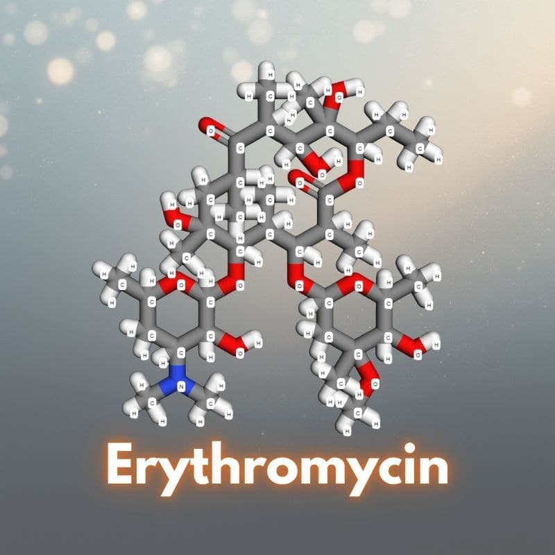 Erythromycin