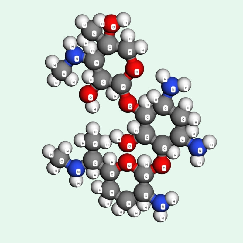 Gentamicin có nhiều dạng chế phẩm