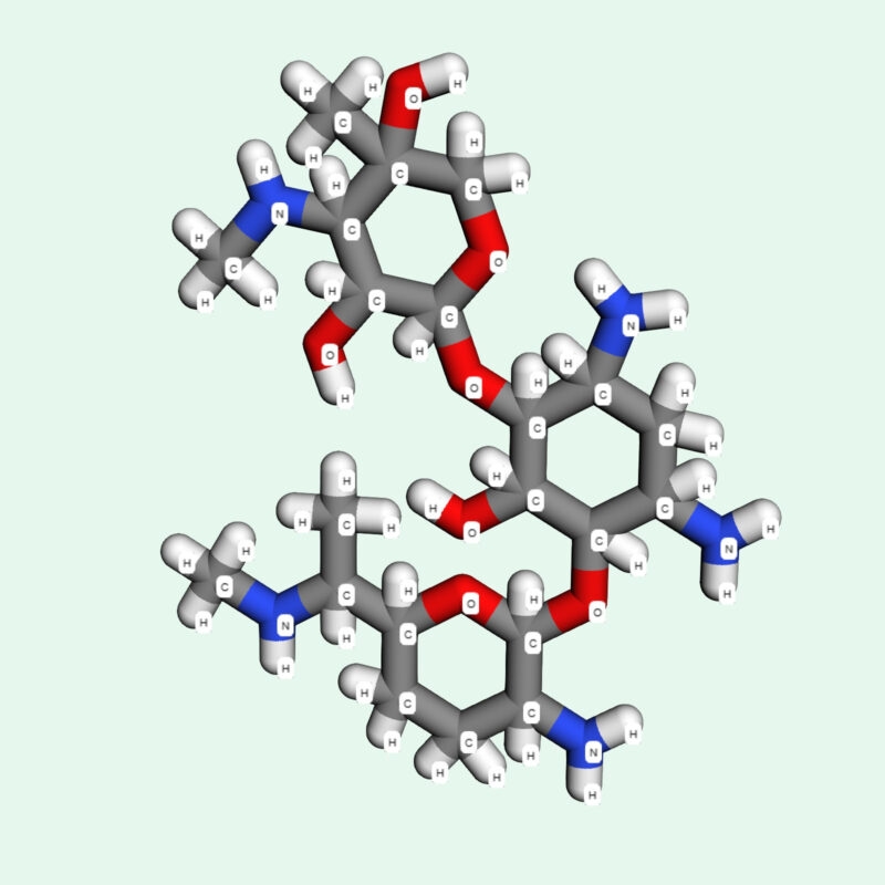 Gentamicin – một hoạt chất kháng khuẩn mạnh