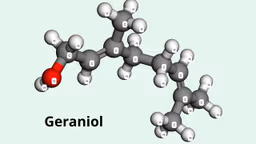 Geraniol là hoạt chất gì? Tác dụng và cách dùng