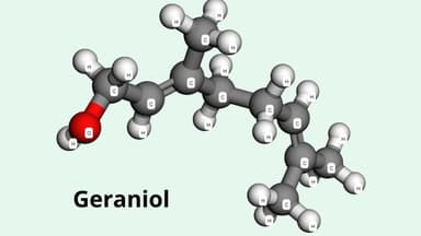 Geraniol là hoạt chất gì? Tác dụng và cách dùng