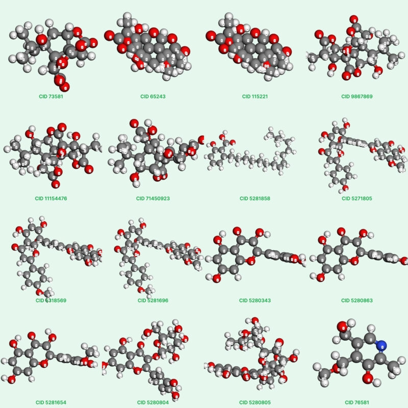 Hiểu về Hoạt chất Ginkgo biloba giúp sử dụng các chế phẩmđúng cách