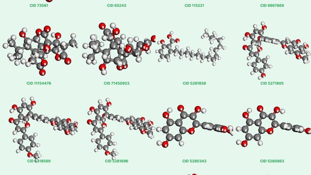 Ginkgo biloba là hoạt chất gì? Tác dụng và cách dùng