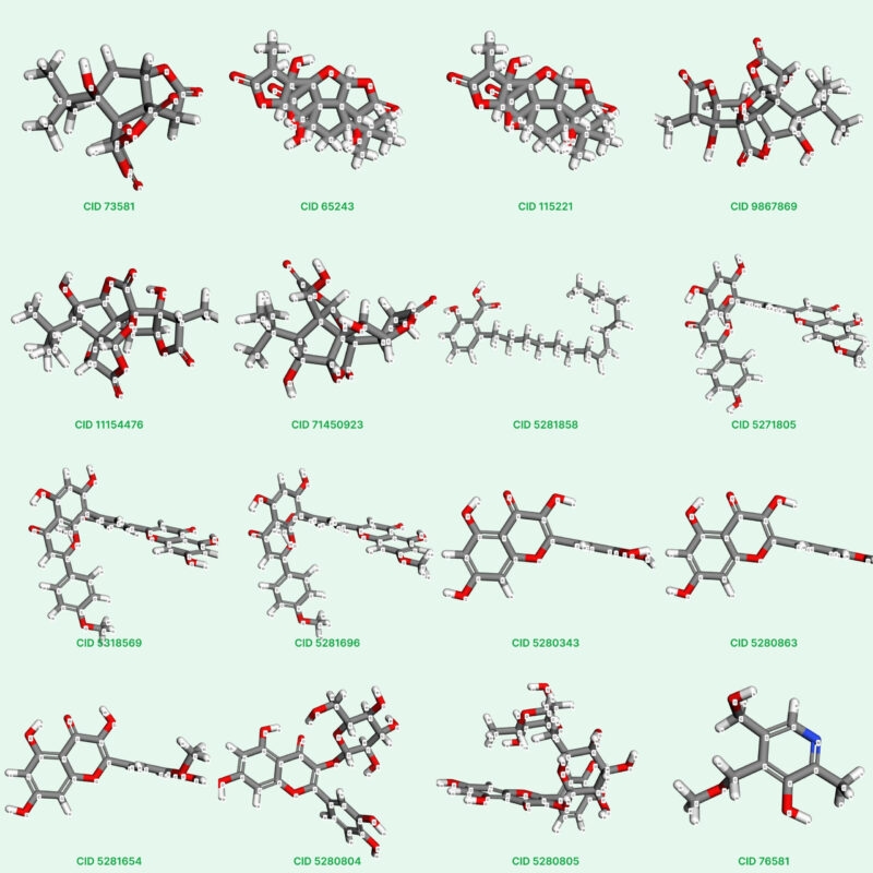 Cấu tạo phân tử Ginkgo biloba