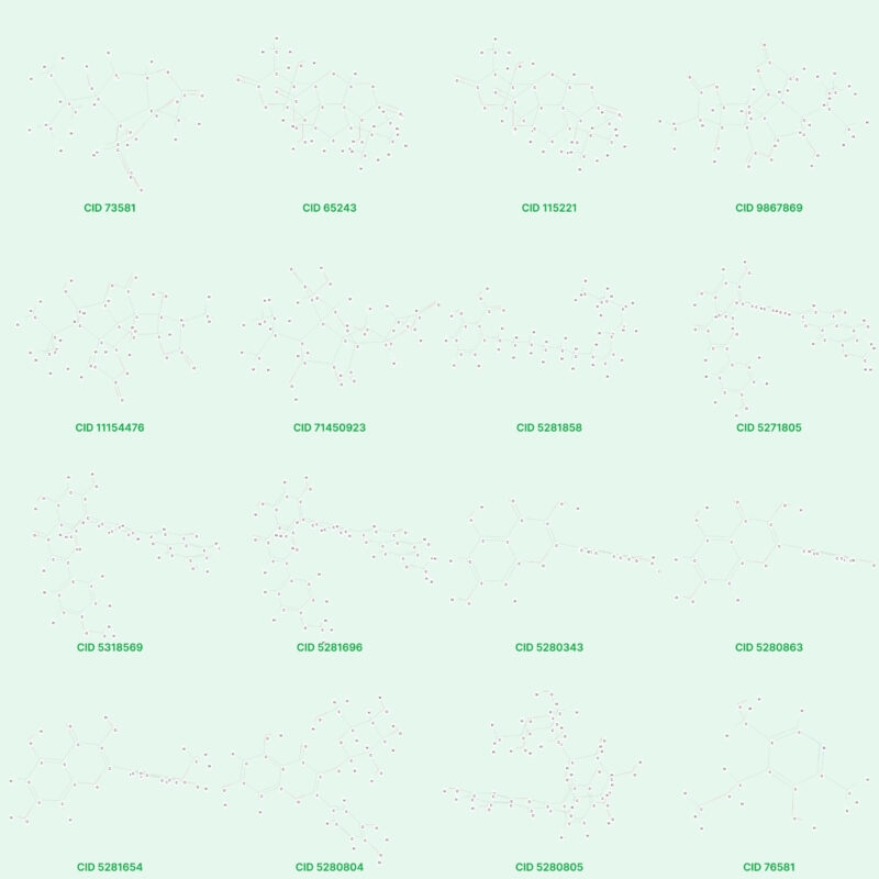 Hoạt chất Ginkgo biloba có trong nhiều dược phẩm