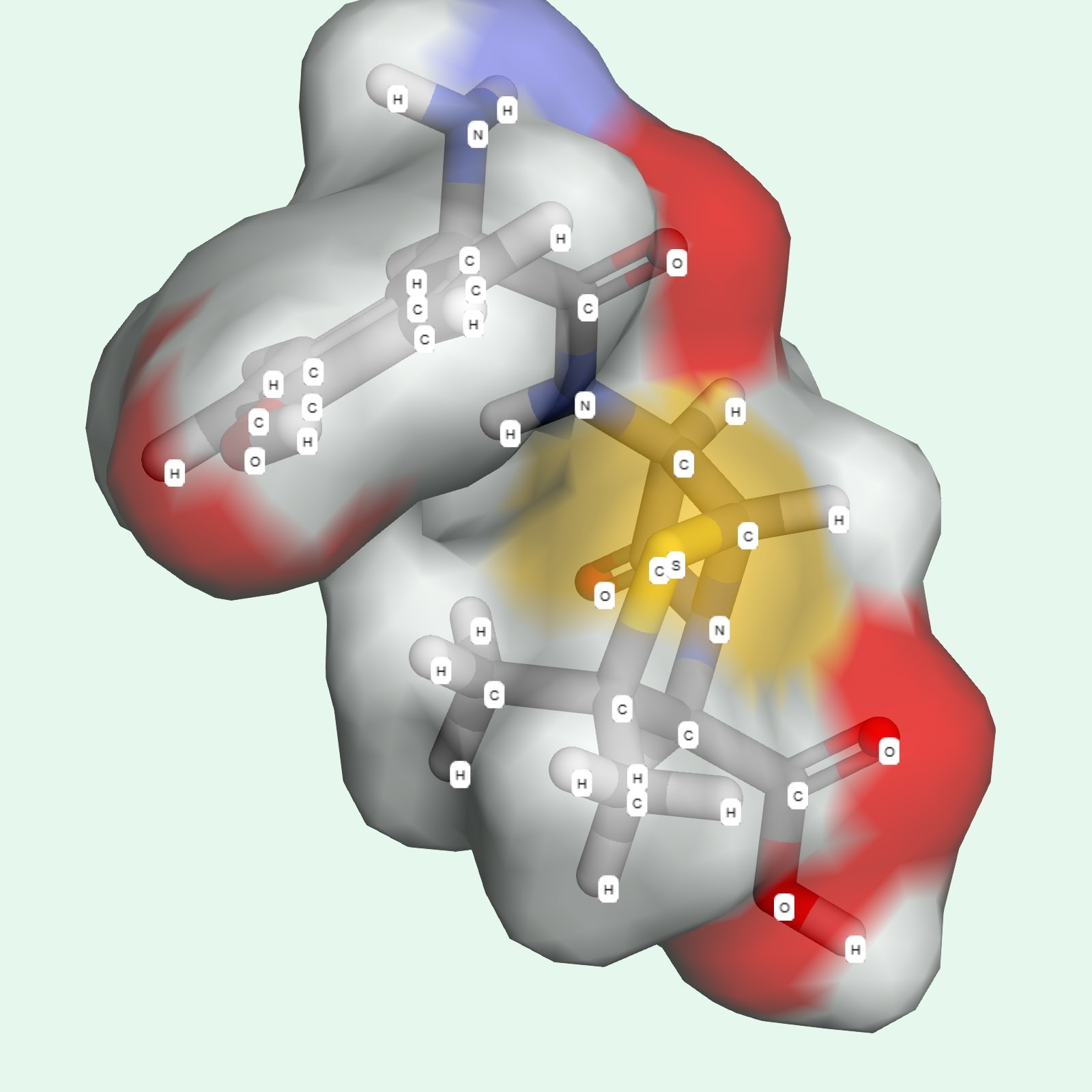 Amoxicillin thuộc nhóm hợp chất beta-lactam