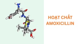 Hoạt chất Amoxicillin: Tác dụng và cách dùng