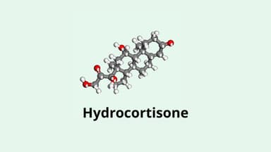 Hydrocortisone là hoạt chất gì? Tác dụng và cách dùng
