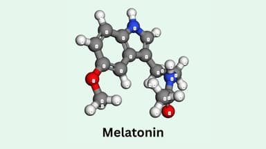 Melatonin là hoạt chất gì? Tác dụng và cách dùng