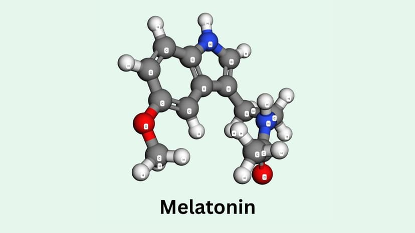 Melatonin là hoạt chất gì? Tác dụng và cách dùng