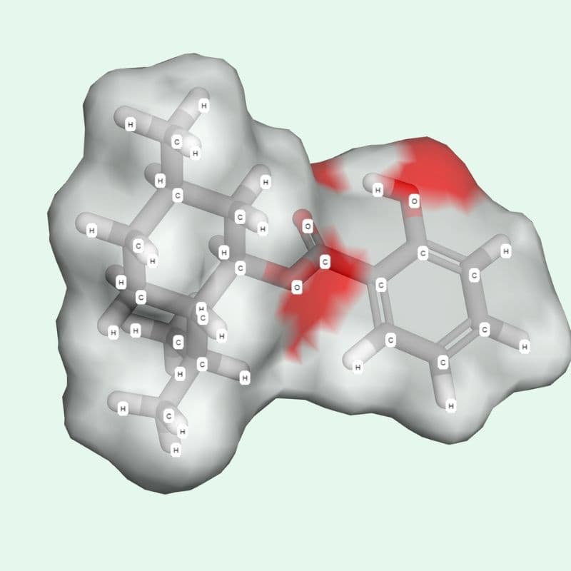 Methyl salicylate là hoạt chất gì?