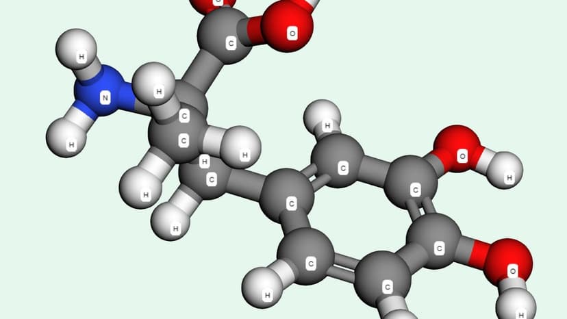 Methyldopa là hoạt chất gì? Công dụng và các lưu ý khi sử dụng