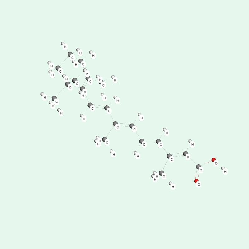 tretinoin là dạng hoạt hóa sẵn, có khả năng tương tác trực tiếp với các thụ thể trong tế bào da