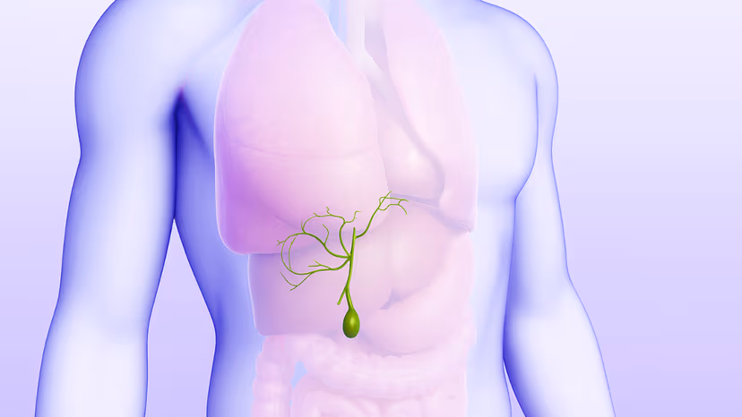 Vỡ túi mật: Nguy cơ và cách xử trí