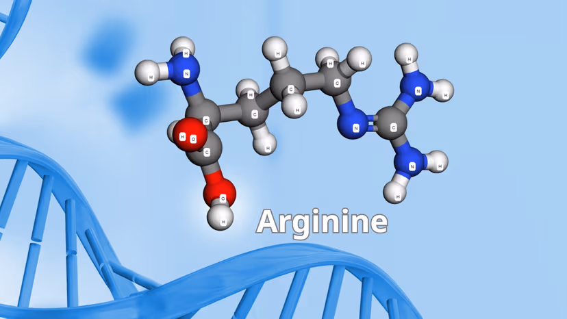 Arginine là gì? Tác dụng và cách dùng