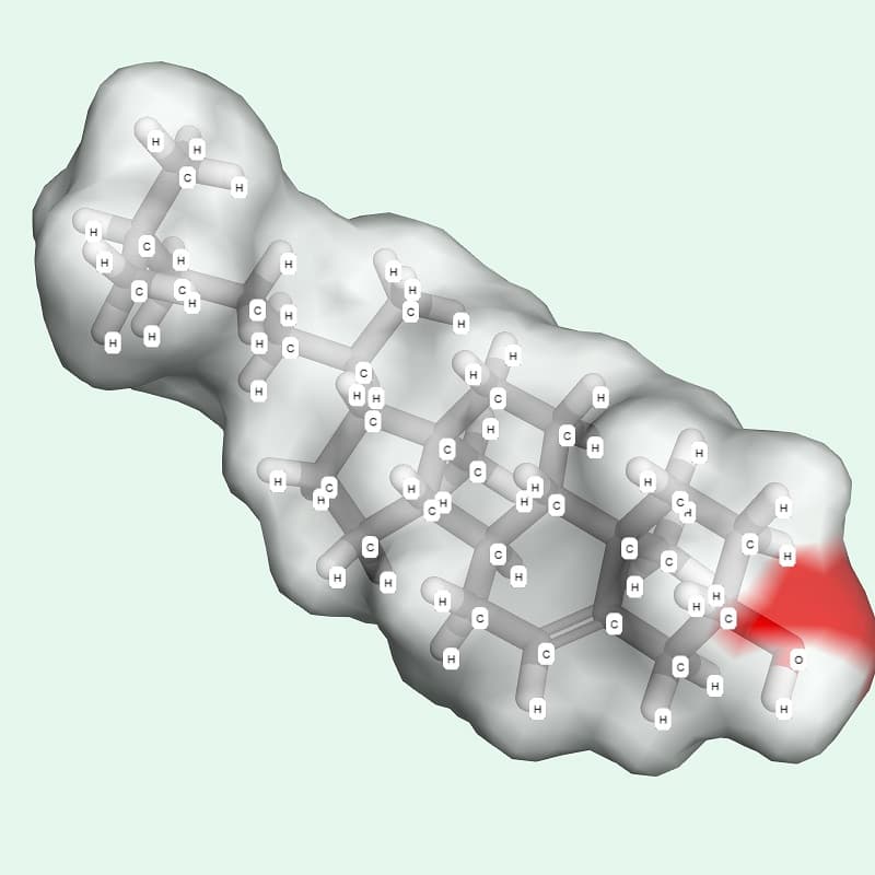 Cholesterol là một dạng lipid (chất béo) không tan trong nước, hiện diện trong hầu hết tế bào của cơ thể