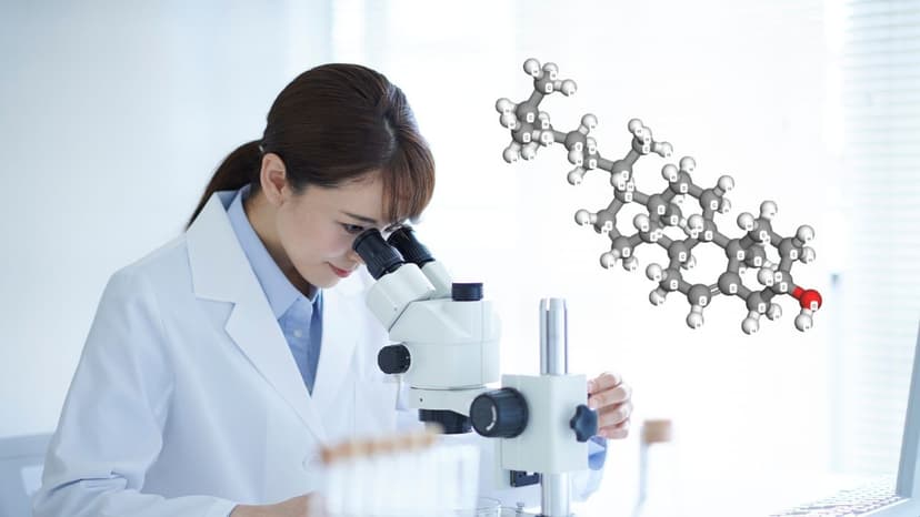 Cholesterol là gì? Tác dụng và cách dùng