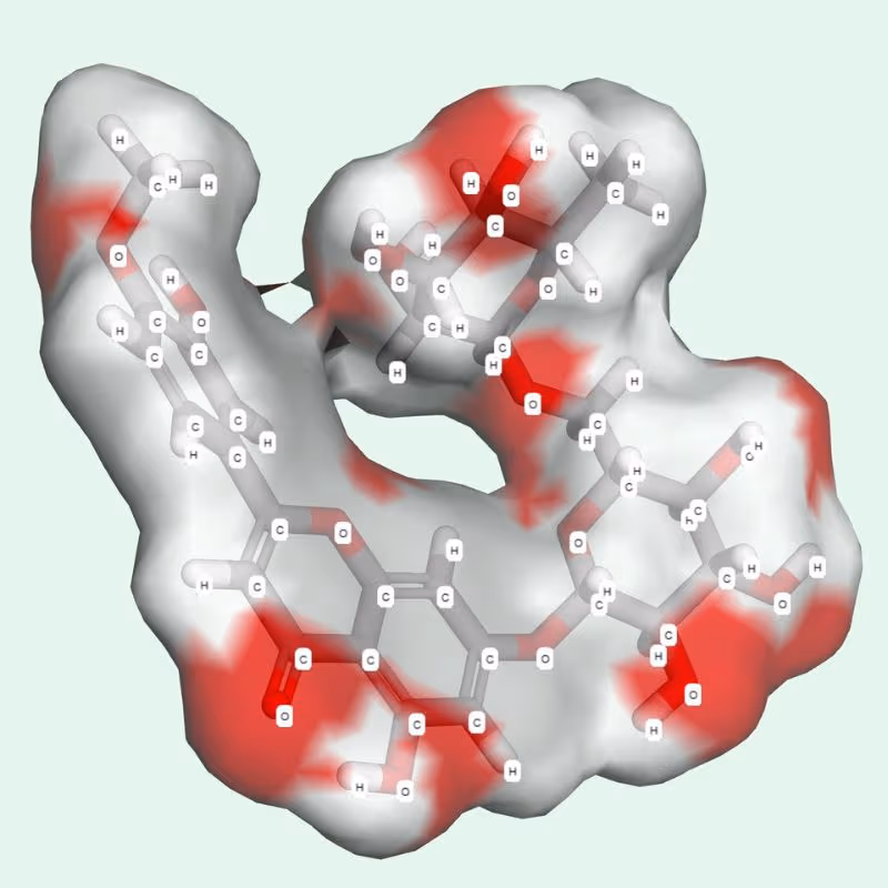 Lưu ý về diosmin