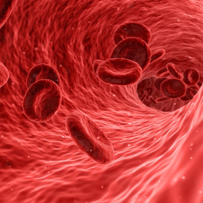 Hemoglobin (viết tắt Hb hoặc Hgb), còn được biết đến với tên gọi huyết sắc tố, là một protein giàu sắt nằm bên trong tế bào hồng cầu