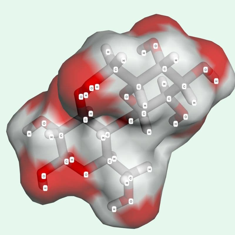 Lactose là gì? Thành phần và vai trò trong dinh dưỡng