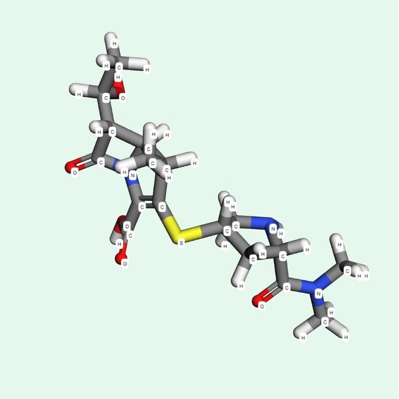 Meropenem có tác dụng gì