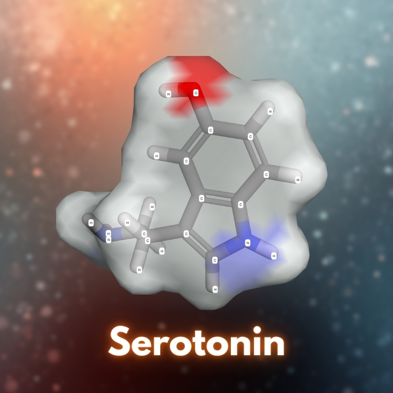 serotonin và tác dụng