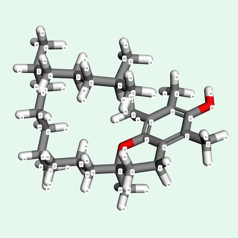Vitamin E Là Hoạt Chất Gì?