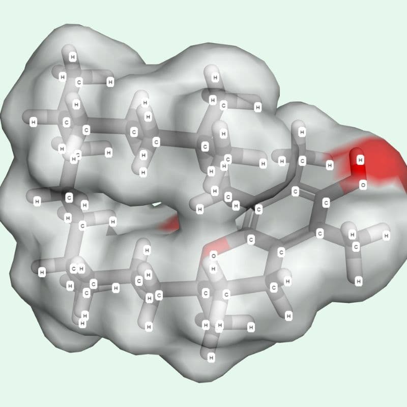 Vitamin E Có Tác Dụng Gì?