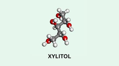 Xylitol là gì? Tác dụng và cách dùng