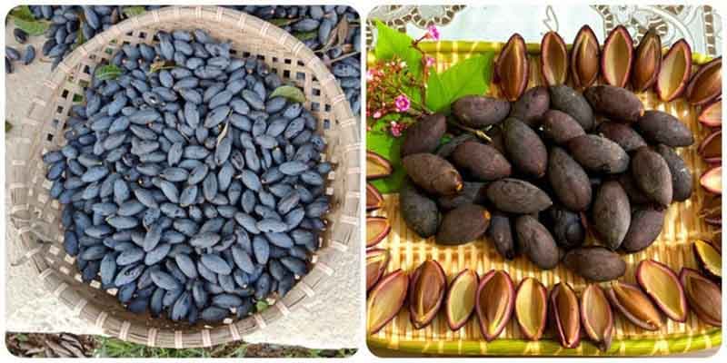 Quả trám đen có bao nhiêu calo?