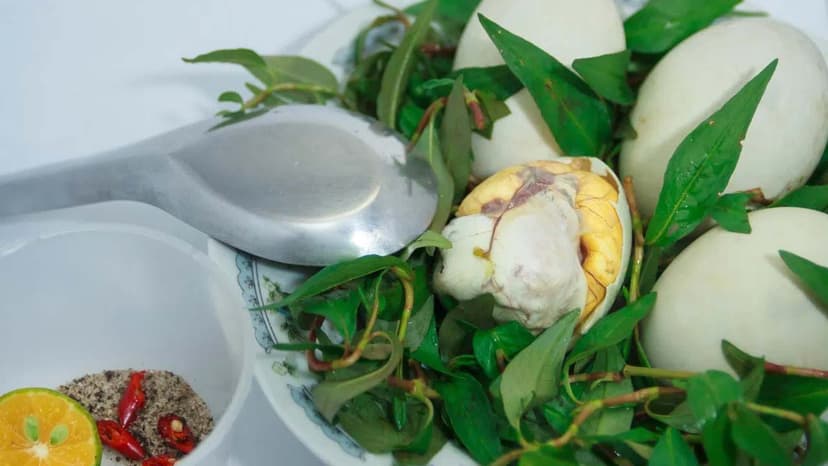 Một quả trứng vịt lộn có bao nhiêu calo? Ăn có béo không?