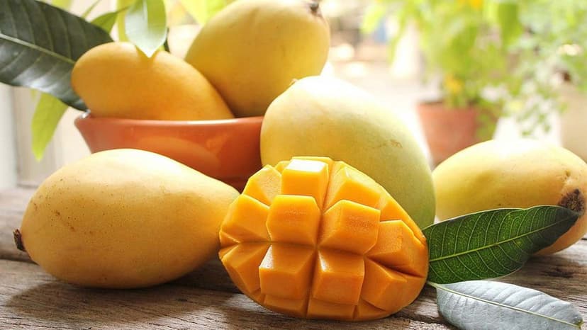 Một quả xoài chín có bao nhiêu calo?