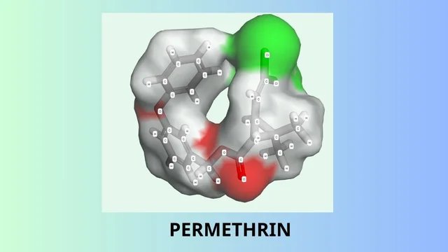 Permethrin là hoạt chất gì? Tác dụng và cách dùng