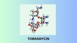 Tobramycin là hoạt chất gì? Tác dụng và cách dùng