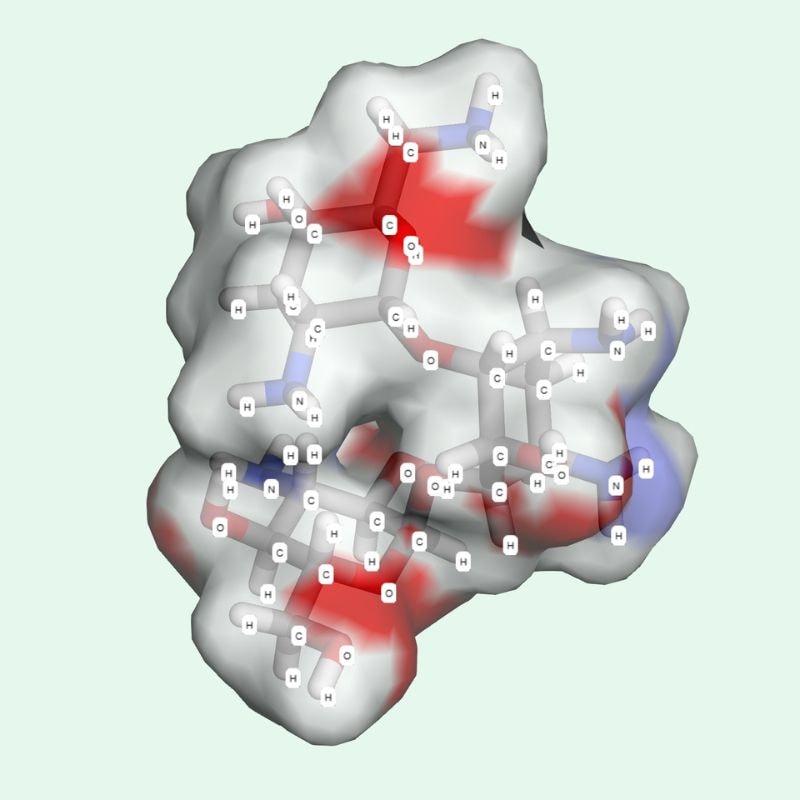 Tobramycin thuộc nhóm aminoglycoside – một lớp hoạt chất nổi bật nhờ khả năng tiêu diệt vi khuẩn mạnh mẽ.