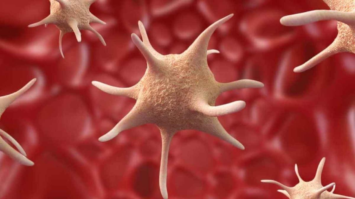 7 cách tăng tiểu cầu khi bị sốt xuất huyết