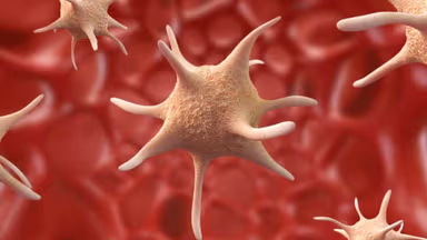 7 cách tăng tiểu cầu khi bị sốt xuất huyết