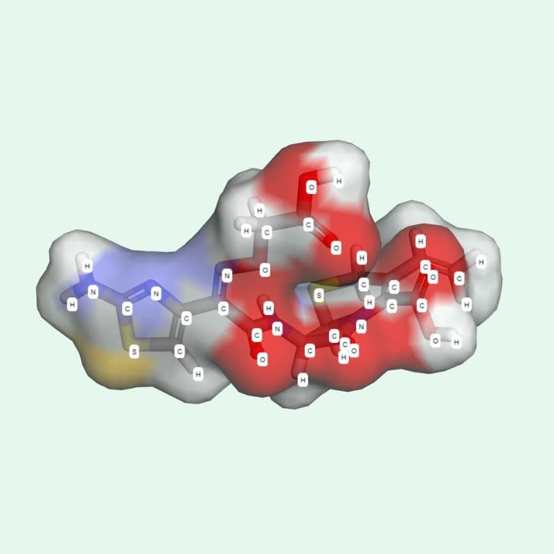 Lưu ý về cefixime