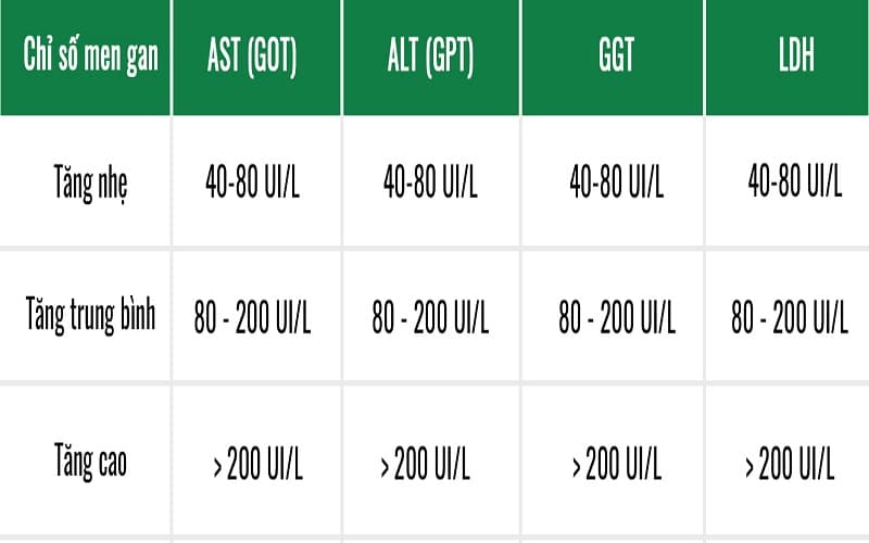 có mấy loại men gan