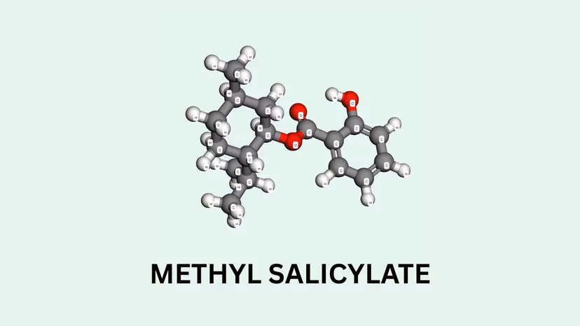 Cơ chế của methyl salicylate trong thuốc giảm đau