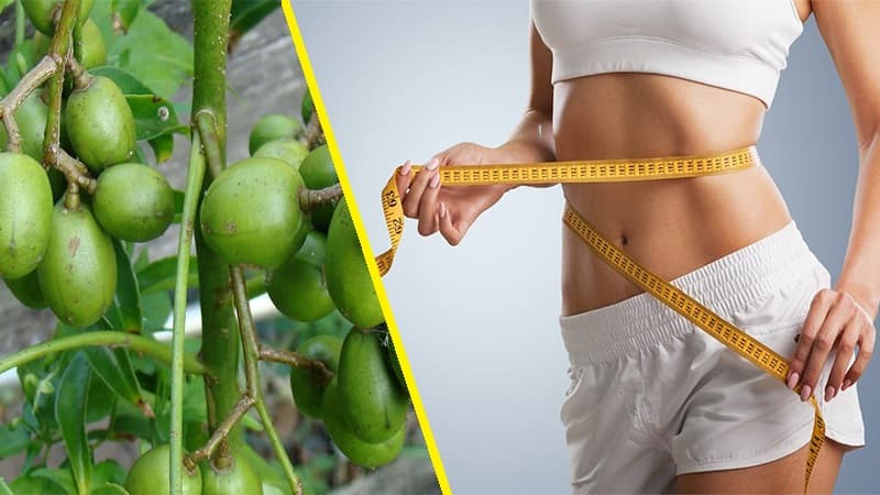 Ăn cóc có tăng cân không?