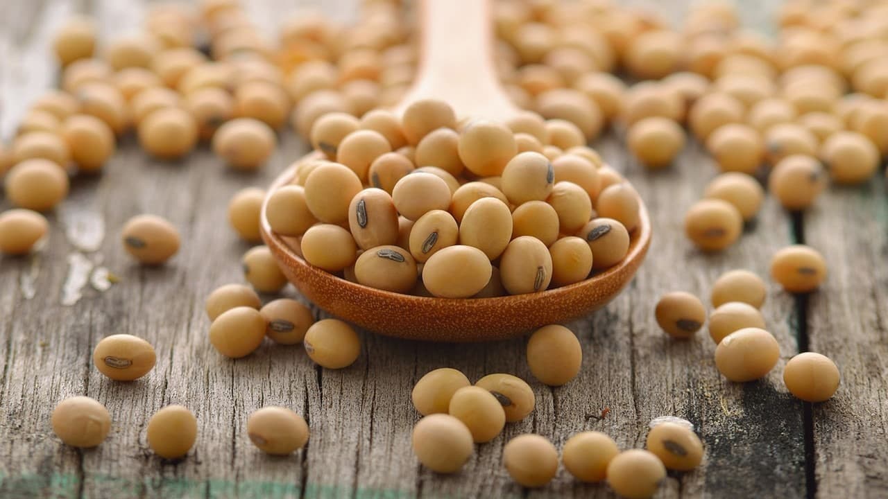 Ung thư phổi có uống được sữa đậu nành không là băn khoăn của nhiều người